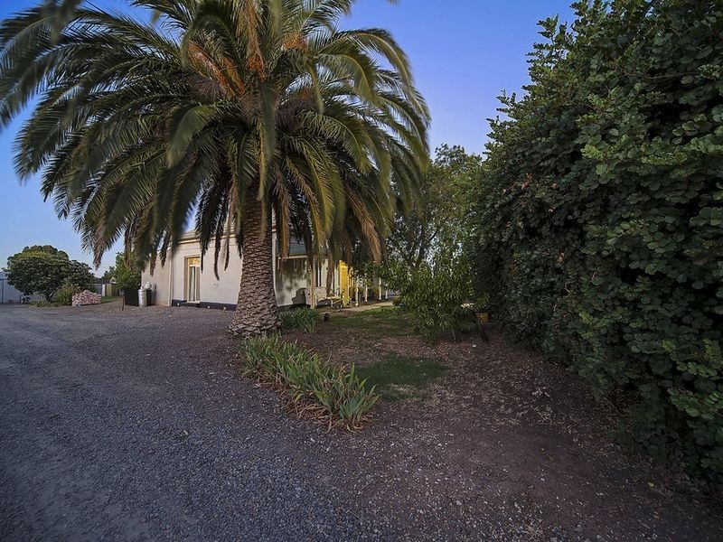 7 Friedrich Street, Freeling SA 5372