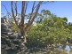 267 Goldfields Road, Cockatoo Valley SA 5351