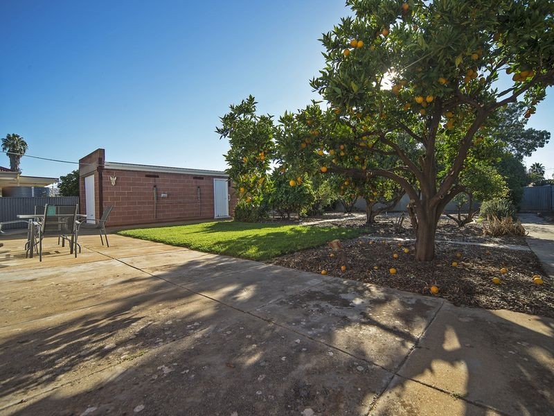 9 Hill Street, Gawler South SA 5118