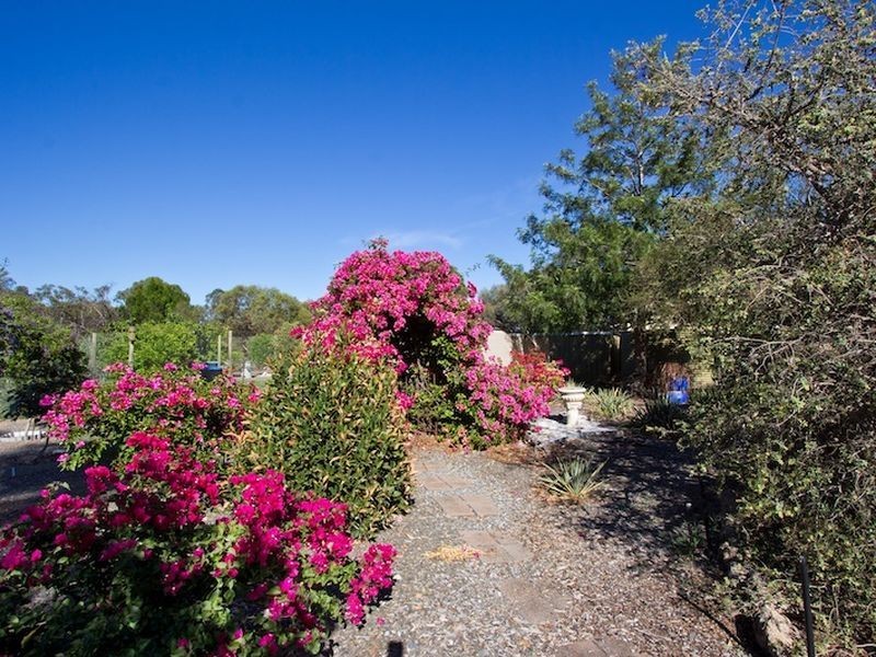 57 Parkers Road, Gawler Belt SA 5118