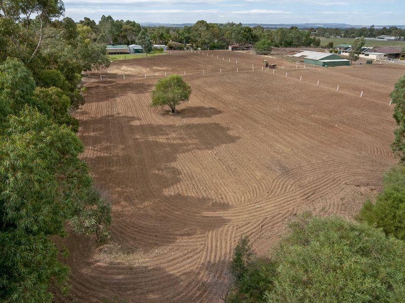 186 Dawkins Road, Lewiston SA 5501