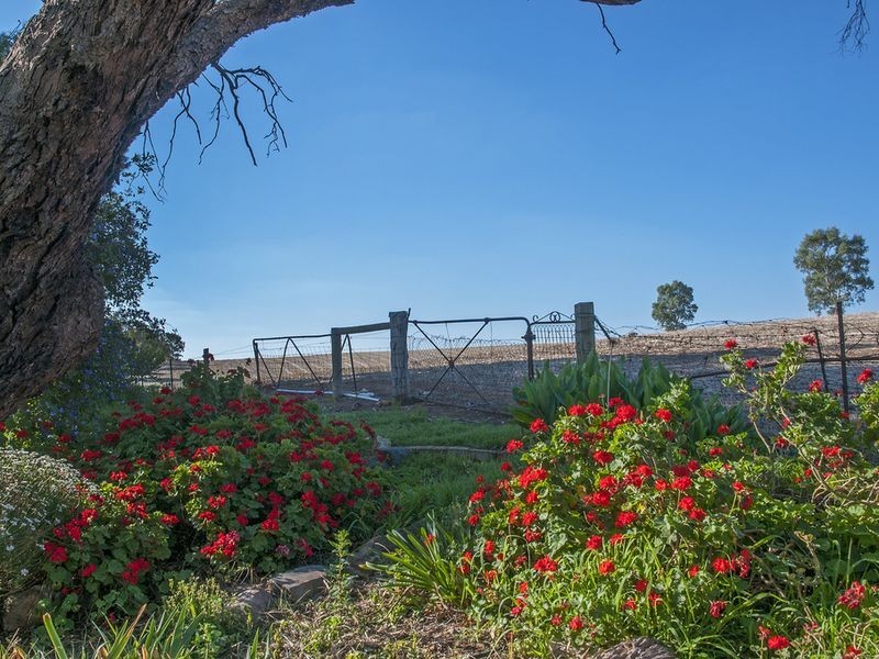 975 Barossa Valley Way, Sandy Creek SA 5350