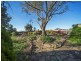 975 Barossa Valley Way, Sandy Creek SA 5350