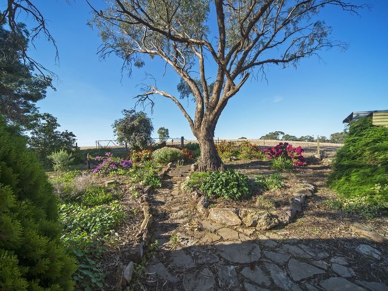 975 Barossa Valley Way, Sandy Creek SA 5350