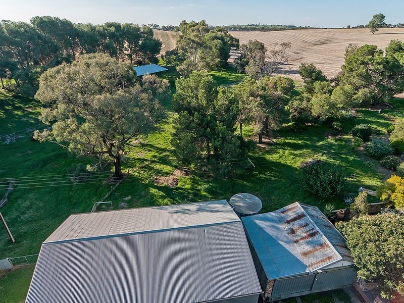 975 Barossa Valley Way, Sandy Creek SA 5350