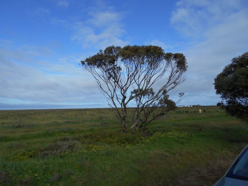 22 Ruskin Road, Dublin SA 5501