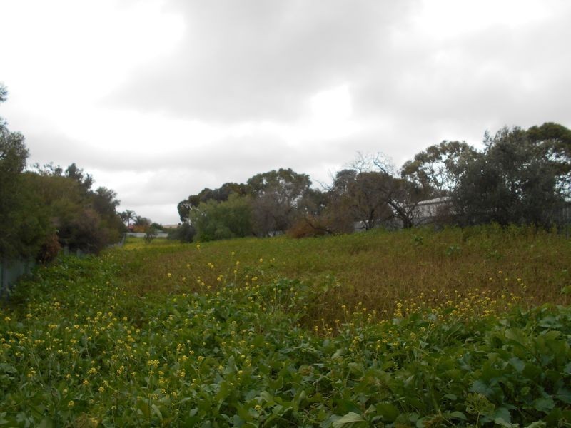 92 Lyndoch Road, Gawler East SA 5118