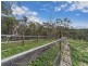 56 Sheoak Road, One Tree Hill SA 5114