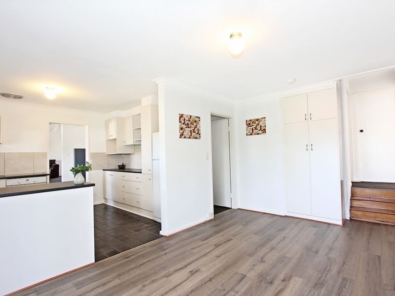 29 Coombe Street, Gawler East SA 5118