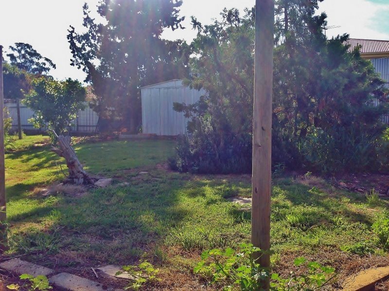 62 Paxton Street, Willaston SA 5118