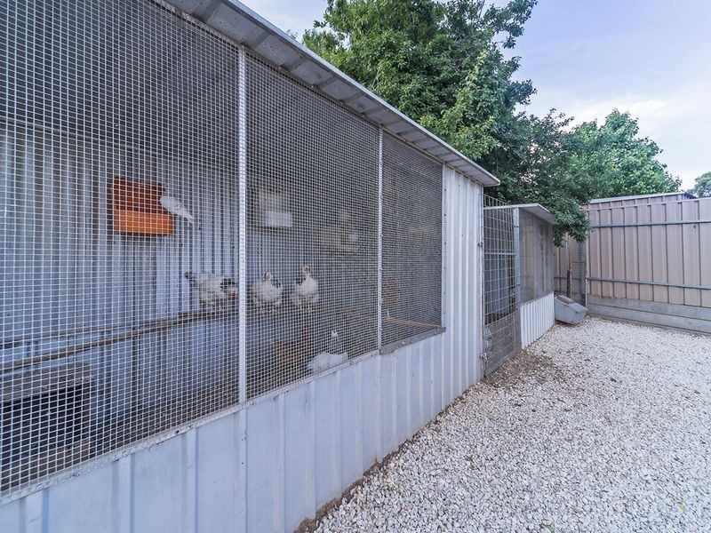 51 Gawler River Road, Willaston SA 5118