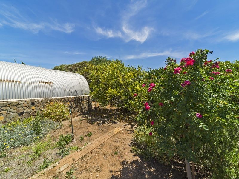 13 Hill Street, Gawler South SA 5118