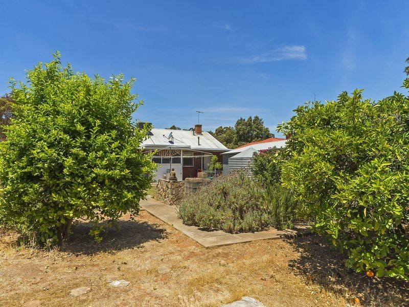 13 Hill Street, Gawler South SA 5118