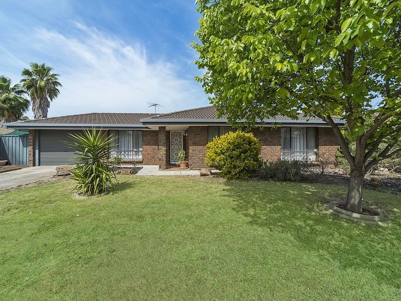 5 Window Road, Willaston SA 5118