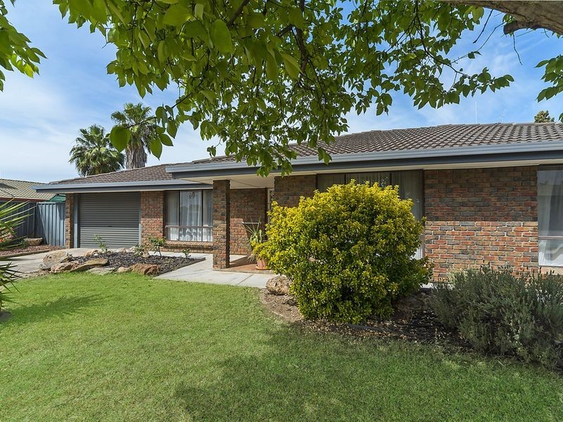 5 Window Road, Willaston SA 5118
