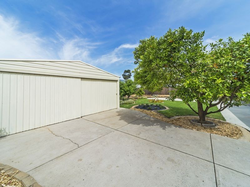 5 Window Road, Willaston SA 5118