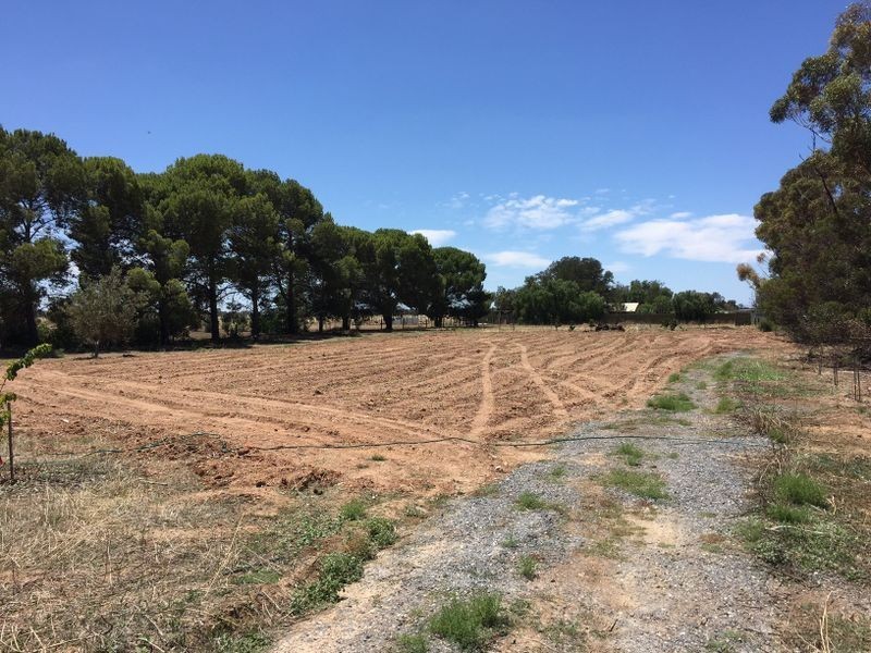 24 Germantown Road, Lewiston SA 5501