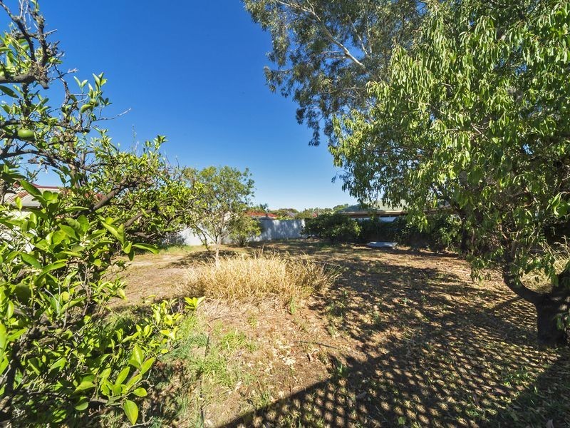 82 Paxton Street, Willaston SA 5118