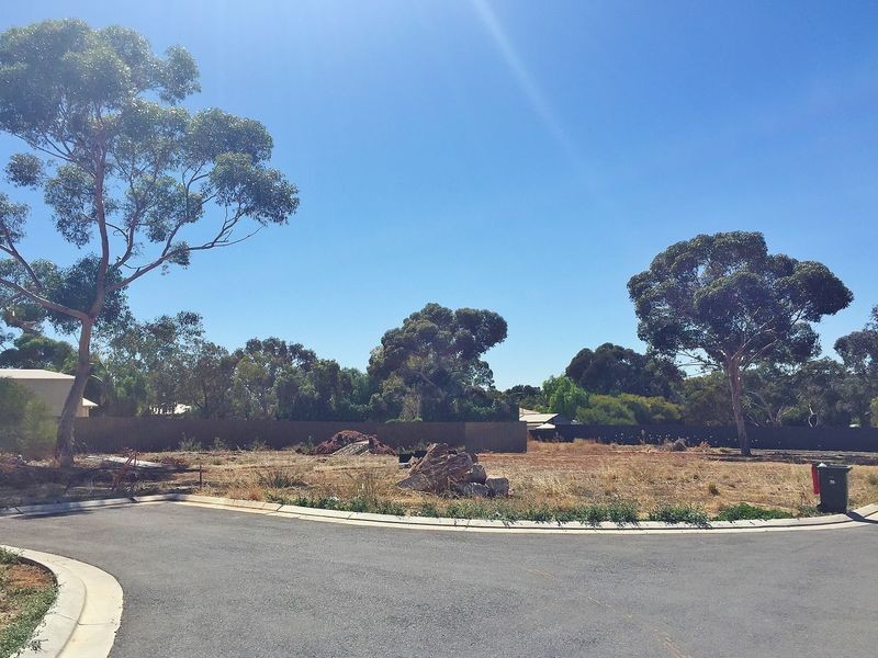 4A Peacock Avenue, Gawler East SA 5118