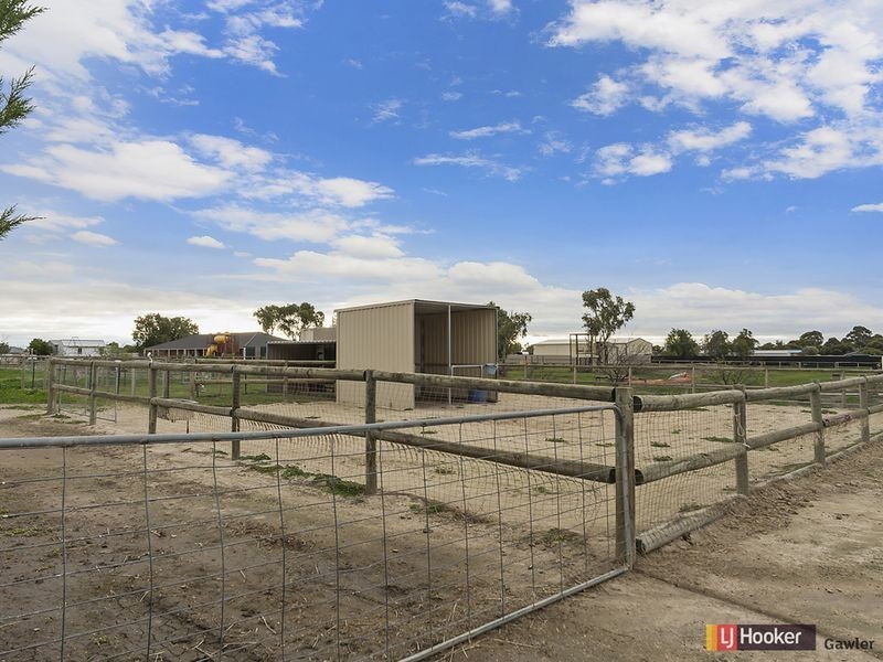 4 Sable Grove, Two Wells SA 5501