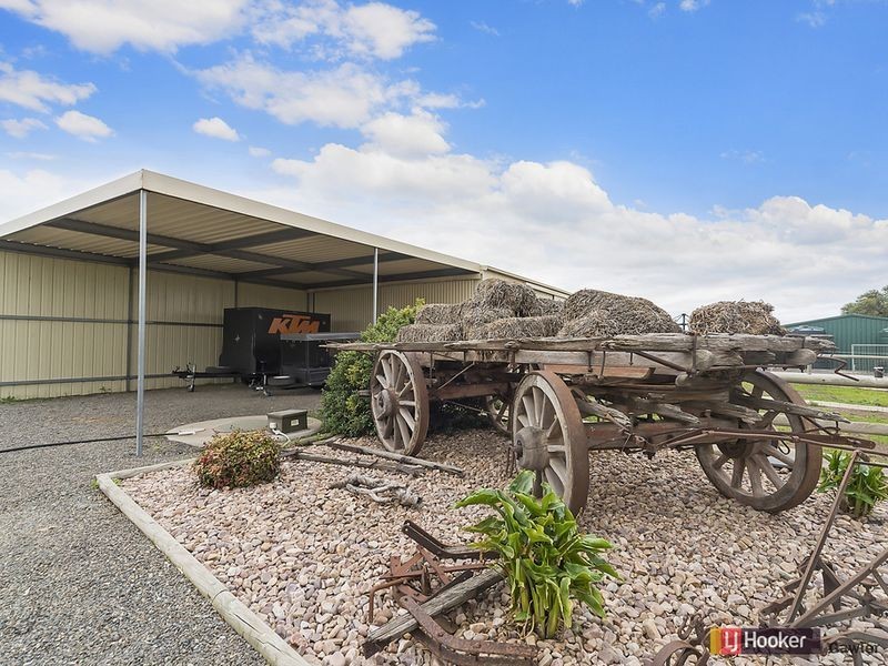 4 Sable Grove, Two Wells SA 5501