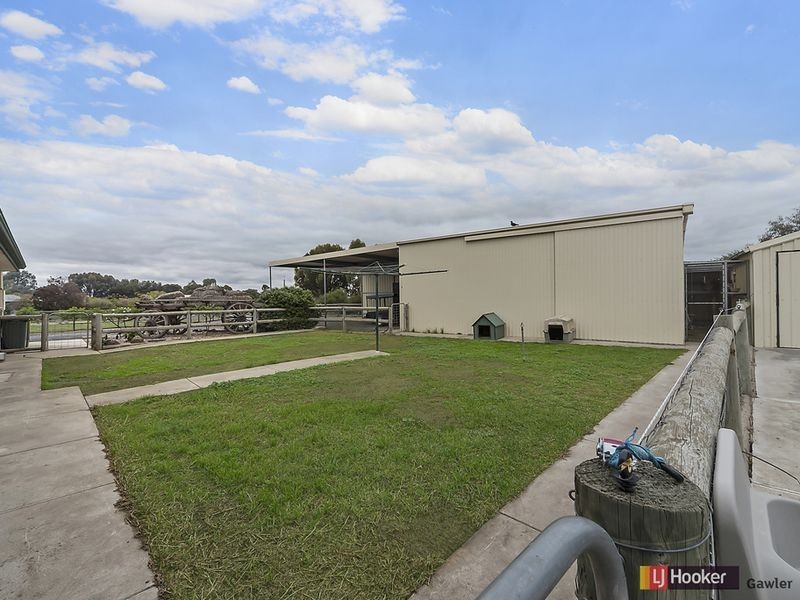 4 Sable Grove, Two Wells SA 5501