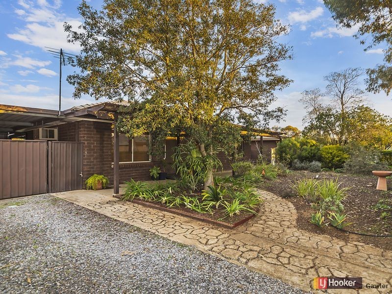 6 Young Terrace, Evanston Gardens SA 5116