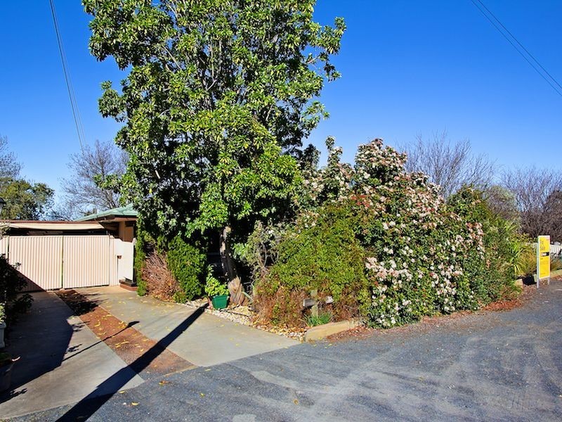 38 Borrow Street, Freeling SA 5372