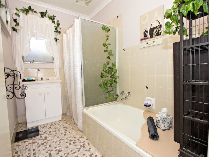 38 Borrow Street, Freeling SA 5372