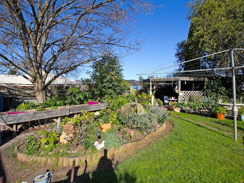 38 Borrow Street, Freeling SA 5372