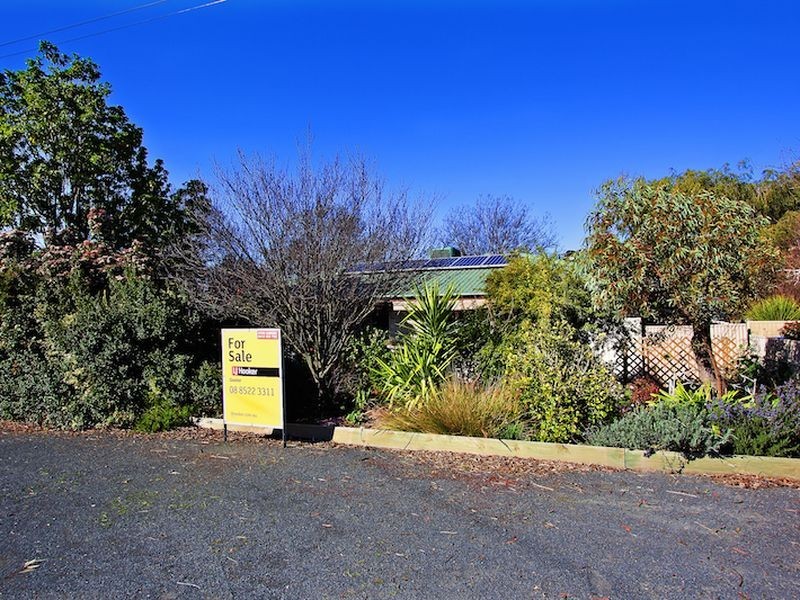 38 Borrow Street, Freeling SA 5372
