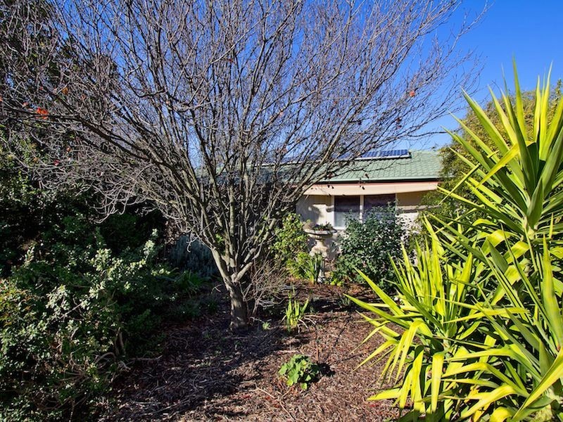 38 Borrow Street, Freeling SA 5372