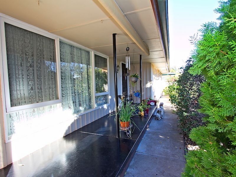 38 Borrow Street, Freeling SA 5372