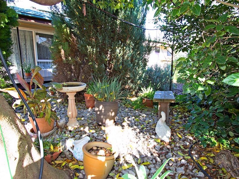 38 Borrow Street, Freeling SA 5372