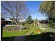 38 Borrow Street, Freeling SA 5372