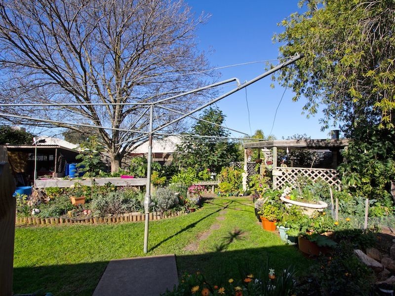 38 Borrow Street, Freeling SA 5372