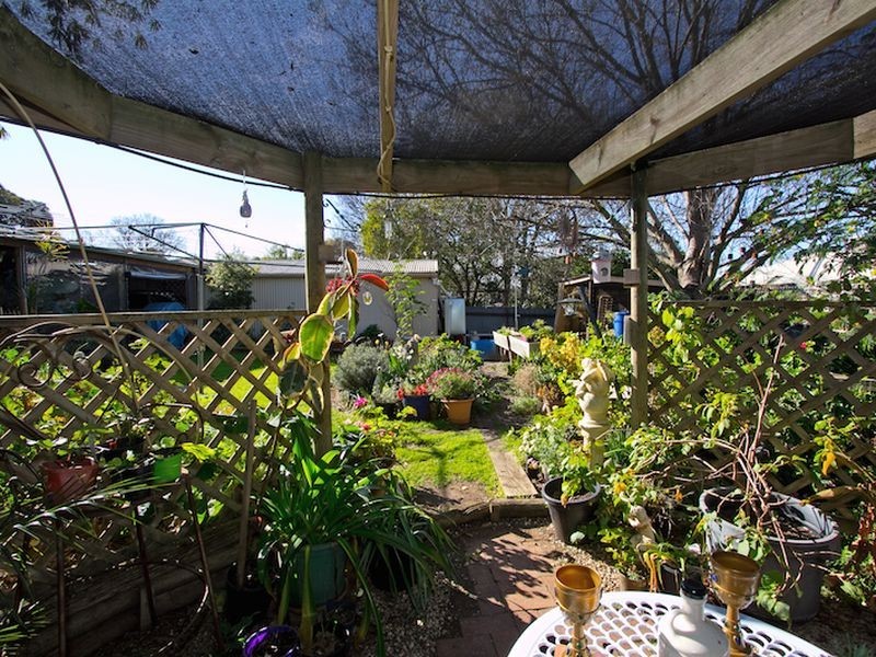 38 Borrow Street, Freeling SA 5372