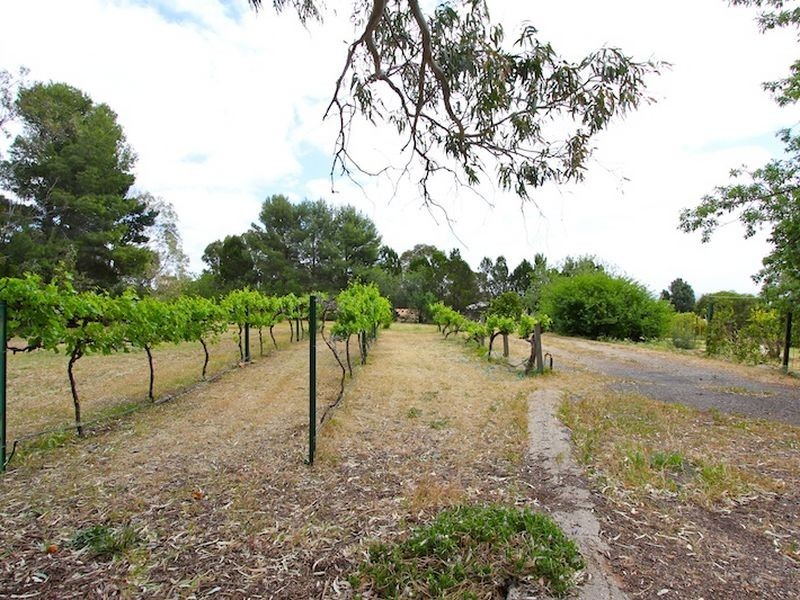 273 Alexander Avenue, Bibaringa SA 5118