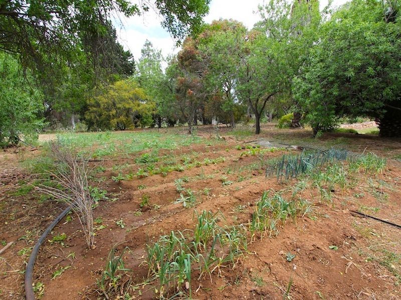 273 Alexander Avenue, Bibaringa SA 5118