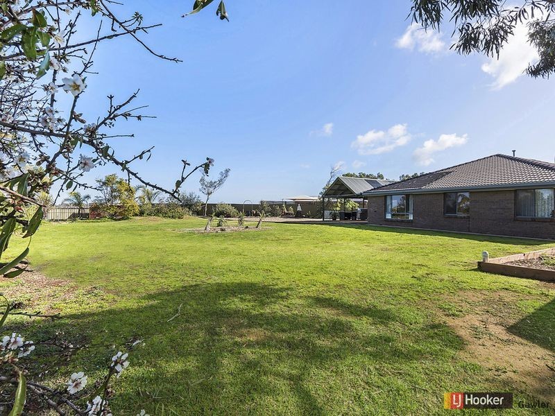 12 Elder Court, Angle Vale SA 5117