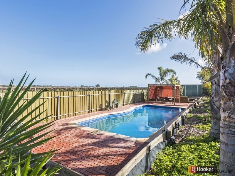 12 Elder Court, Angle Vale SA 5117