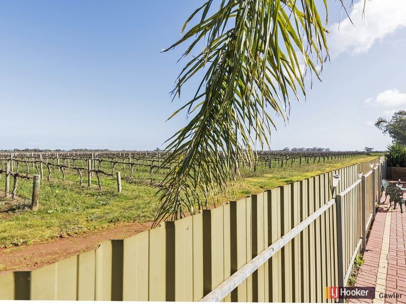 12 Elder Court, Angle Vale SA 5117