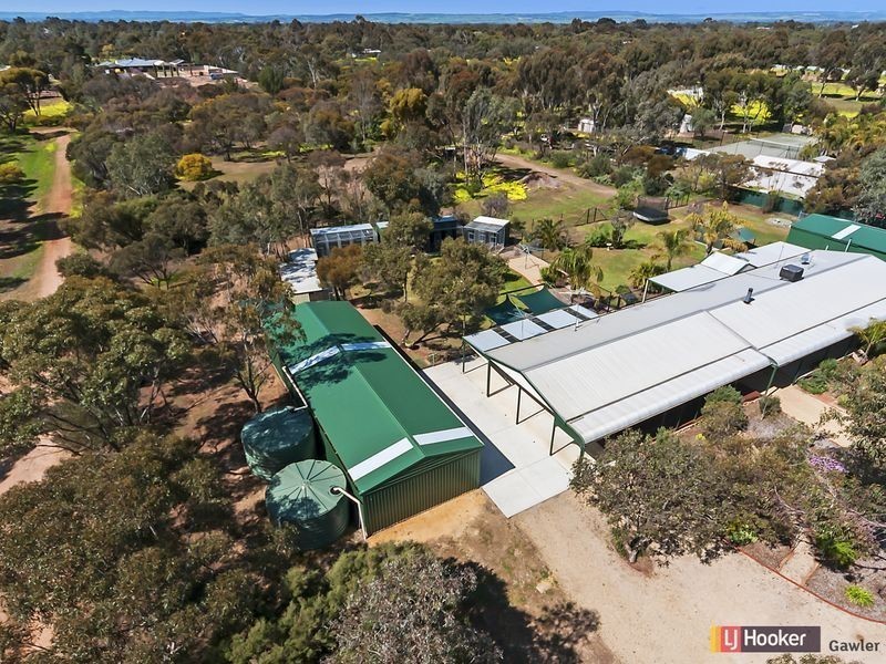 16 James Road, Lewiston SA 5501