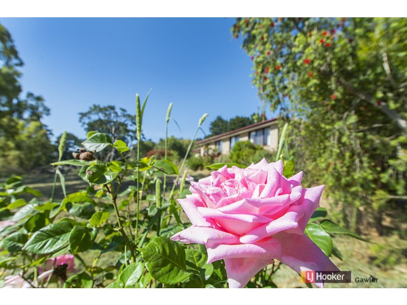 157 Blockers Road, Williamstown SA 5351