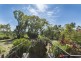 157 Blockers Road, Williamstown SA 5351