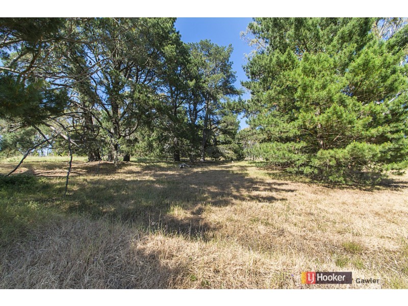 157 Blockers Road, Williamstown SA 5351
