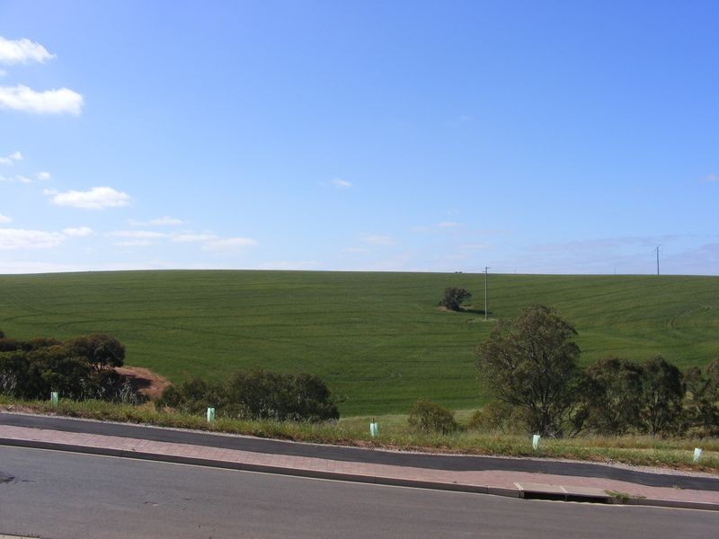 20 Lorikeet Grove, Hewett SA 5118