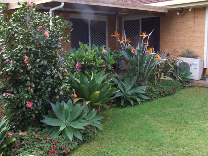 3 Solara Court, Alstonville NSW 2477