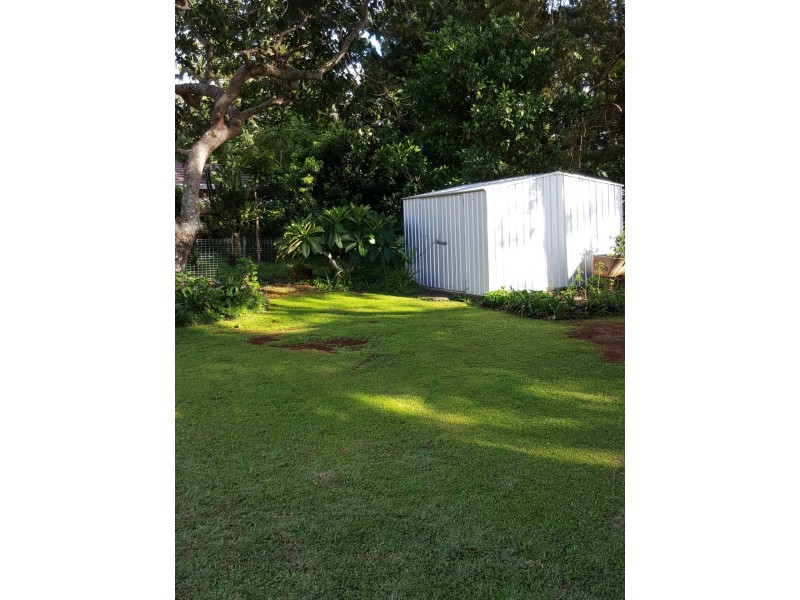 53 Alston Avenue, Alstonville NSW 2477