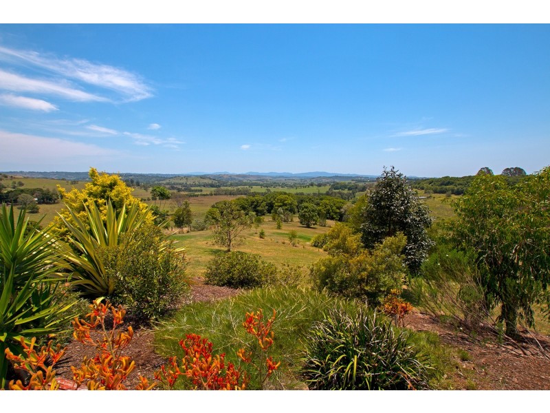 46 Baldock Drive, Mcleans Ridges NSW 2480